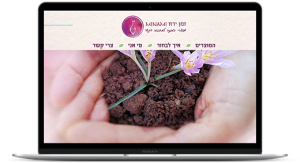 סליקה באתרי וורדפרס